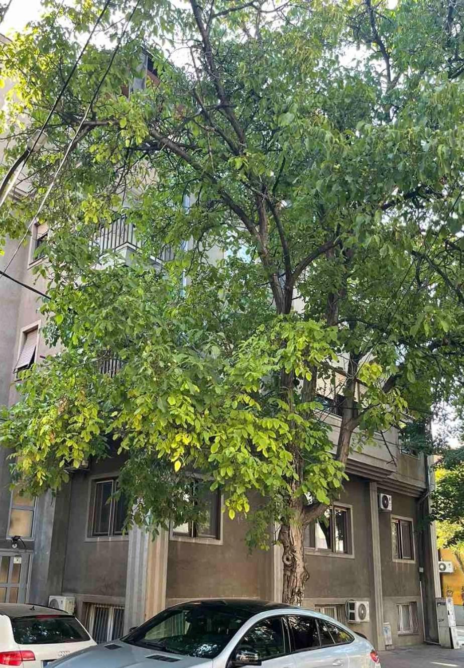 Urban Stay スコピエ エクステリア 写真